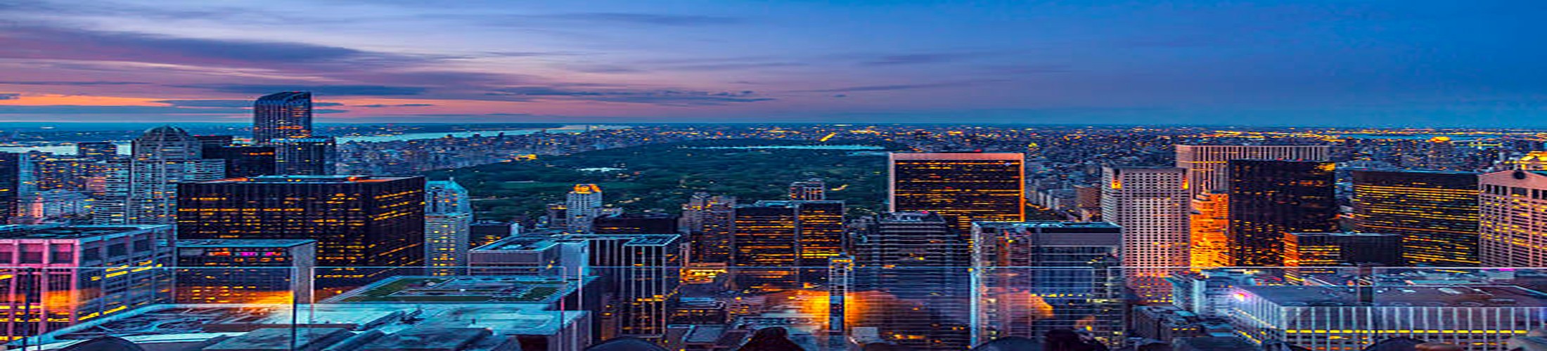 RBC Real Estate Srl banner with New York office buildings background